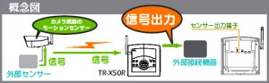 外部出力